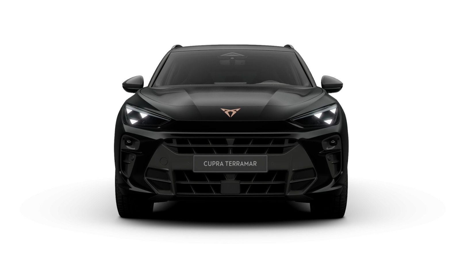 Cupra Terramar - Bild 2