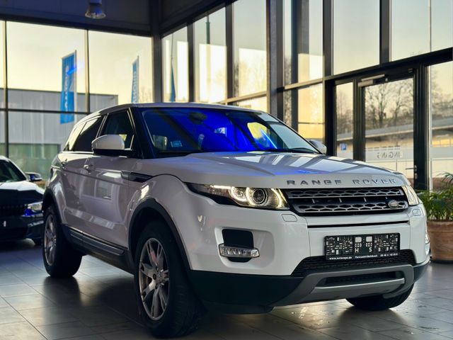 Land Rover Range Rover Evoque Pure *HDC*SHZ*RSC*1.Hand