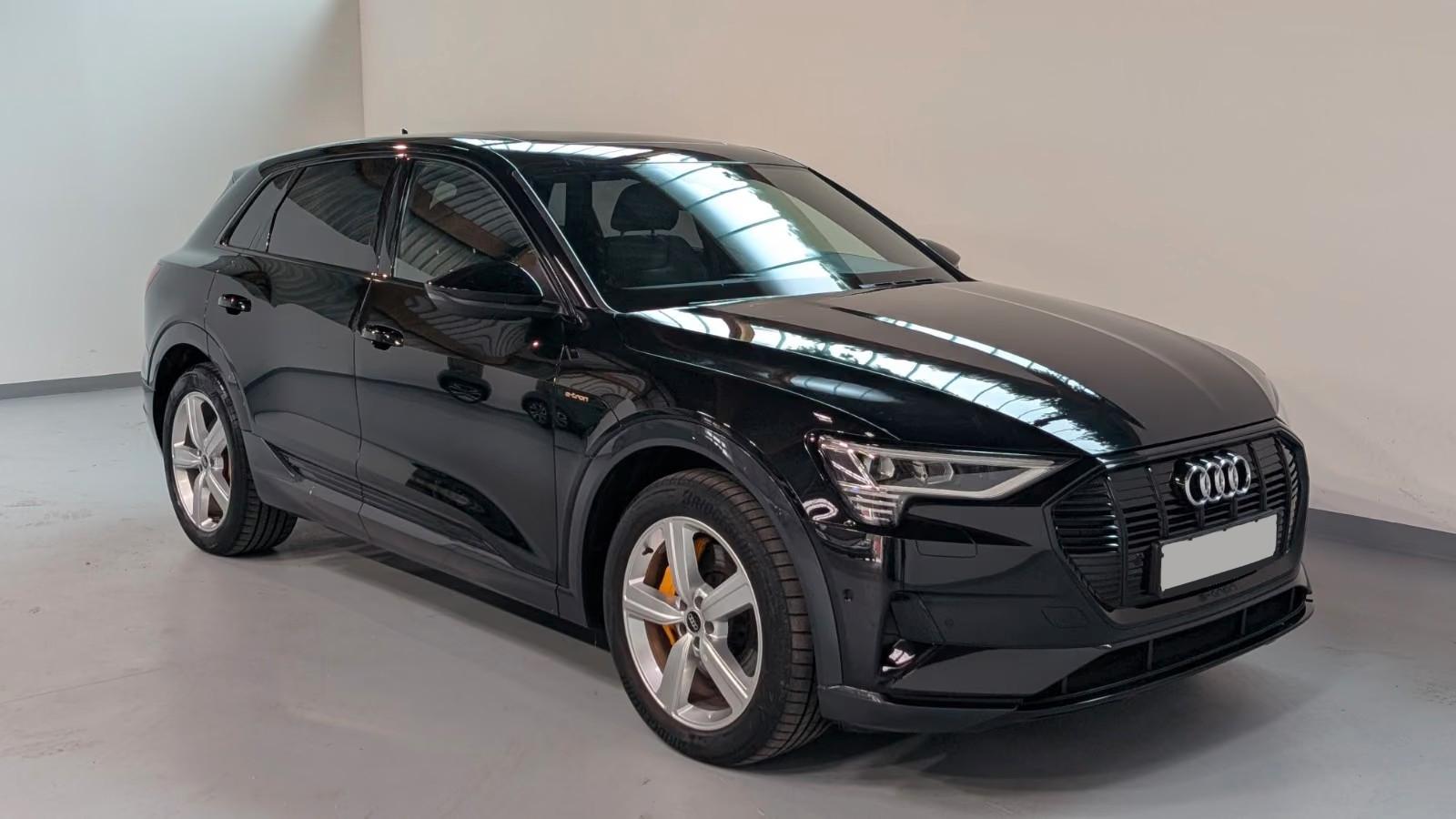 Audi e-tron 55 quattro advanced AIRKAMMEMOPANO20, миниатюра 3