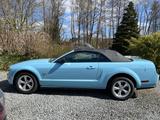 Ford Mustang V8 Cabrio 4.6 - Sommerfahrzeug - Ford Mustang aus 2009: Cabrio