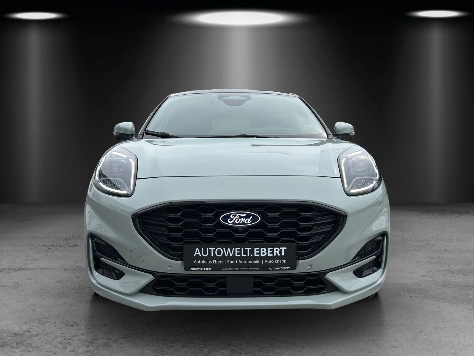 Fahrzeugabbildung Ford Puma 1.0 ST-Line X Aut./LED/ACC/360°/PANO/NAVI/