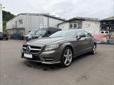 Mercedes-Benz CLS 500 4MATIC BlueEFFICIENCY  - Mercedes-Benz CLS 500: 4matic