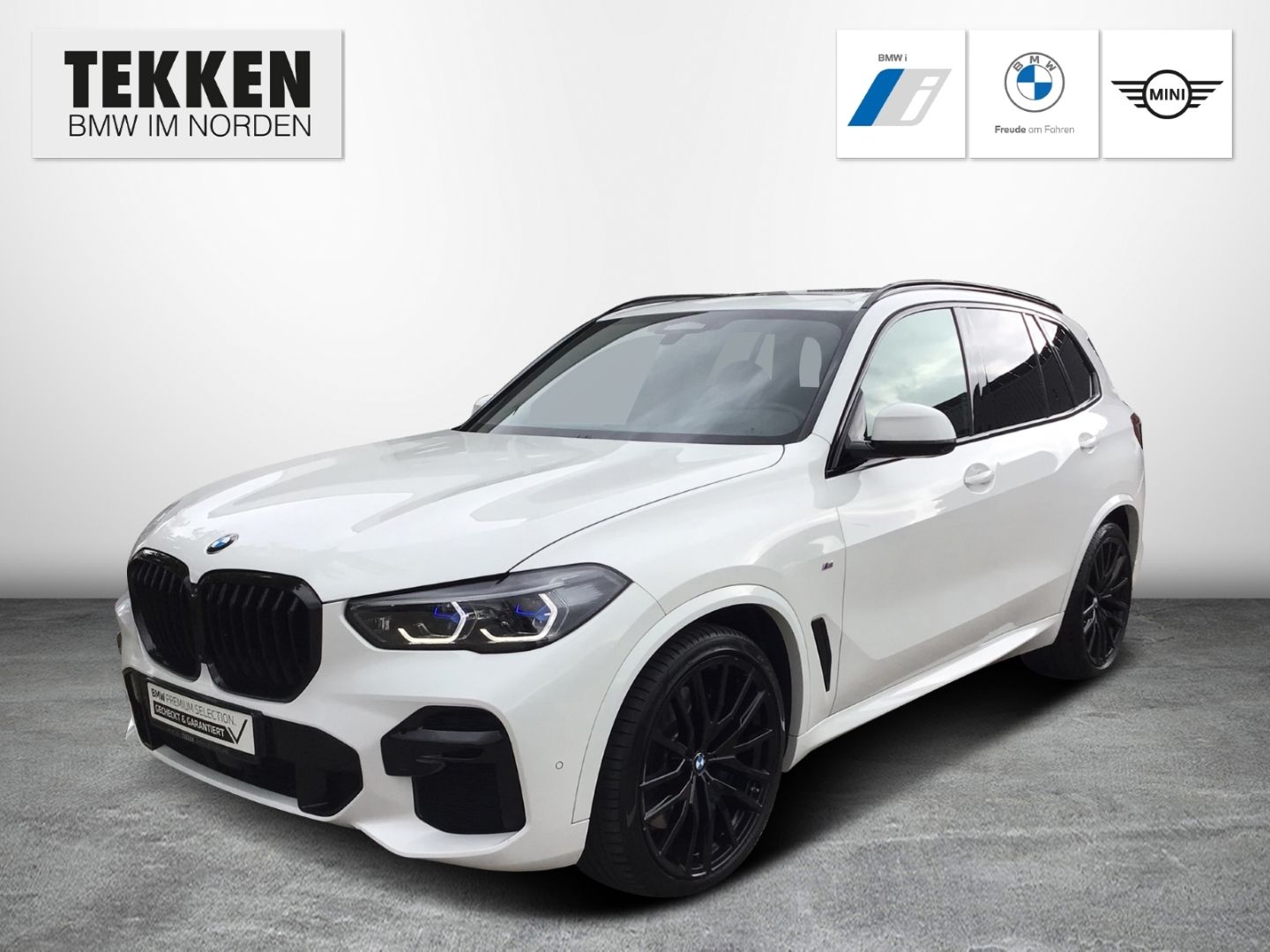 BMW X5 xDrive40d M Sport AHK/ACC/Standhzg/Panorama/H