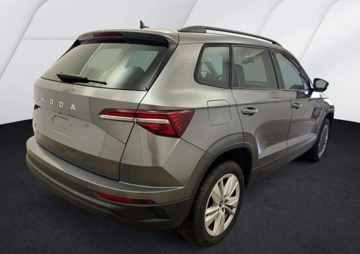Skoda Karoq - Bild 3