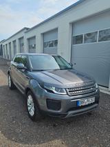 Land Rover Range Rover Evoque D150 AWD Automatik -