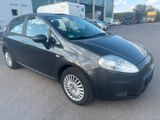 Fiat Punto 1.2 Klima/Panorama Dach - Fiat Punto aus 2008
