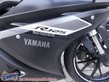 Yamaha YZF - R125 + ABS ABS kurzes Heck Auspuff - YAMAHA SPORTLER
