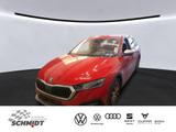 Skoda Octavia Combi 2.0 TDI Scout 4x4 STHZ AHK HuD - Skoda: Combi Scout
