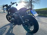 Triumph Scrambler 900 - TRIUMPH SCRAMBLER