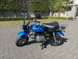 Honda Z50 Monkey - MOFA MONKEY