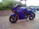 Suzuki SV650s - SUZUKI SPORTLER 650 SV