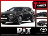 Lexus UX 300h F Sport Design ACC+LED+Navi+SHZ+LM - Lexus UX: F Sport