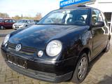 Volkswagen Lupo 1.4 44kW Panorama Edition. TÜV neu - Volkswagen Lupo mit Panoramadach