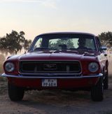 Ford Mustang*V8*Automatik*Servo*Scheibenbr.*Magnaflow - Ford Mustang aus 1968