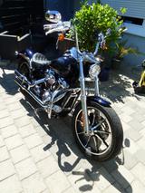 Harley-Davidson Low Rider ST1 Softail (Bj. 2019) - HARLEY-DAVIDSON LOW RIDER