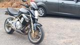 Kawasaki ER 6N Sport - KAWASAKI 2006 ER6N