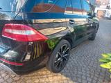 Mercedes-Benz mercedes ml 500 v8 - Mercedes ml gebraucht