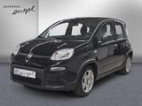 Fiat Panda KLIMAANLAGE,BLUETOOTH,USB,PDC,DAB,ISOFIX,E - gebrauchte Fiat Panda aus dem Jahr 2024