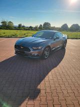 Ford Mustang - mit LPG-Antrieb: Sportwagen