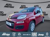 Fiat Panda Pandina 1.0 GSE Hybrid 48 kW Icon - Fiat Panda Jahreswagen