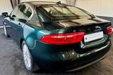 Jaguar XE Portfolio, Kamera, Vollleder, Navi, Automatik - Jaguar: Grün