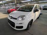 Fiat Panda Easy*KLIMA*8 FACH BEREIFT* - gebrauchte Fiat Panda aus dem Jahr 2020