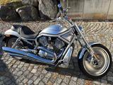 Harley-Davidson VRSCA V-Rod Erstserie | 8101 km | Sammlerzustand