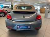 Volkswagen Beetle Cabriolet Design BMT/Start-Stopp - Volkswagen Beetle: Blau