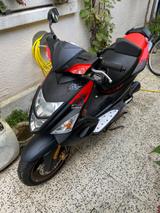 TGB BULL&T RR - Offers