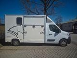 Renault Master Pferdetransporter 3,5t mit Schaltgetriebe