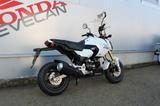 Honda MSX 125*sofort verfügbar* - HONDA MSX