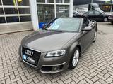 Audi A3 Cabriolet Ambition - Audi A3 Gebrauchtwagen in Osnabrück