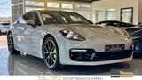 Porsche Panamera Turbo S E-Hybrid MATRIX BURM CARBON 18W - Porsche Panamera: Turbo