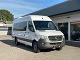 Mercedes-Benz Sprinter 516CDI /1-Hand/**66.000Km**/20-Sitzer