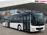 MAN LION'S CITY / A21 Intarder Klima Luftfeder ZV - MAN Reisebus Lion