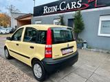 Fiat Panda 1.1 8V Active/II.HD/ALLWETTER/SERVO/ - Fiat Panda: I