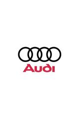 Audi Hallo ich suche Audi Q5 SQ5 oder RSQ3 - Audi Q5: RS