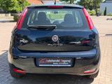 Fiat Punto Pop KLIMA/TÜV-06-28/1HAND - Fiat Punto: 1.2