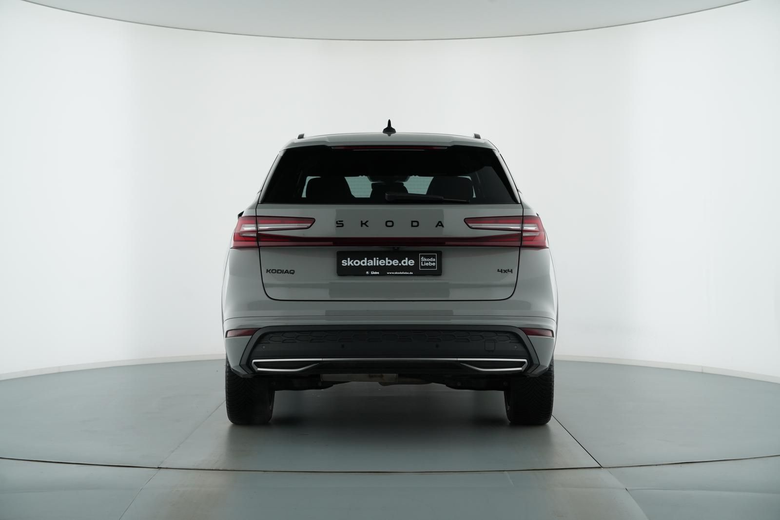 Skoda Kodiaq - Bild 7
