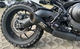 Yamaha XSR900 - YAMAHA XSR 900