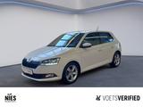 Skoda Fabia Active 1.0 TSI SHZ+KLIMA - Skoda Fabia Gebrauchtwagen in Braunschweig