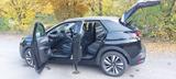 Peugeot 3008 Crossway 1.5 *LED*NAVI*KLIMA*SHZ*RFK*KESSY - Peugeot 3008 Crossway mit Diesel-Antrieb