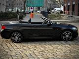 BMW 220d Cabrio M Sport | LED | Navi Pro | Harma - BMW 220 Gebrauchtwagen in Berlin