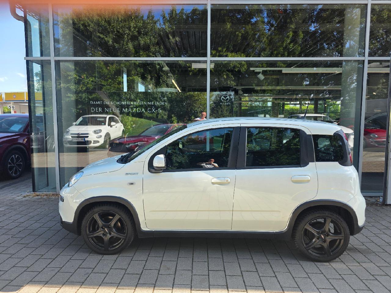 Fiat Panda Sport Carplay Sitzhzg. Parsensoren ZV...