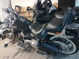 Harley-Davidson Softail Deluxe mit Zertifikat  - HARLEY-DAVIDSON SOFTAIL