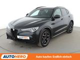 Alfa Romeo Stelvio 2.0 Turbo Veloce Q4 Aut.*NAV*ACC*CAM*PDC - Alfa Romeo Gebrauchtwagen von 2020