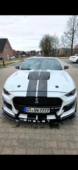 Ford Mustang 2.3, 317ps, Shelby Cobra GT500  - Ford Mustang Gebrauchtwagen in Bielefeld