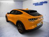 Ford Mustang Mach-E - Ford Mustang Mach-E Tageszulassungen