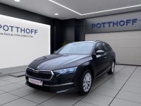 Skoda Octavia - Vorschau Bild 2