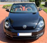 Volkswagen Beetle 1.4 TSI DSG BMT CLUB Cabriolet CLUB - Volkswagen Beetle aus 2015